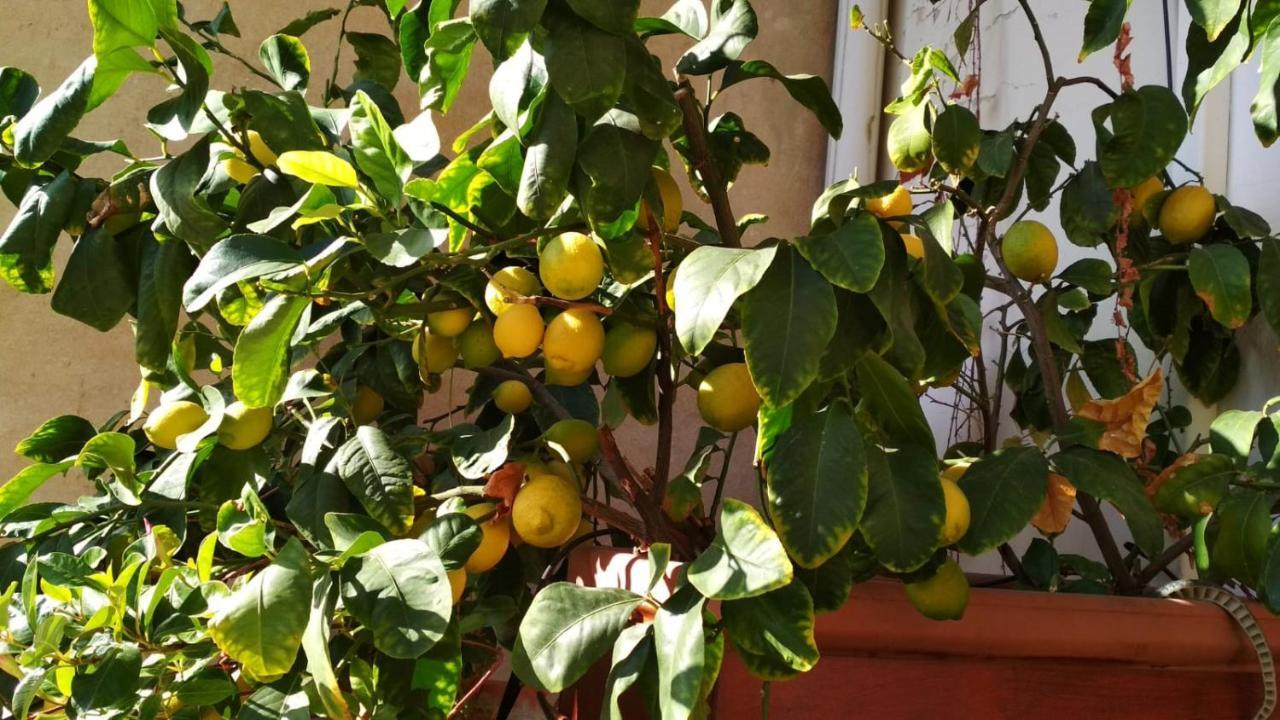La Casa Dei Fiori Florença Exterior foto