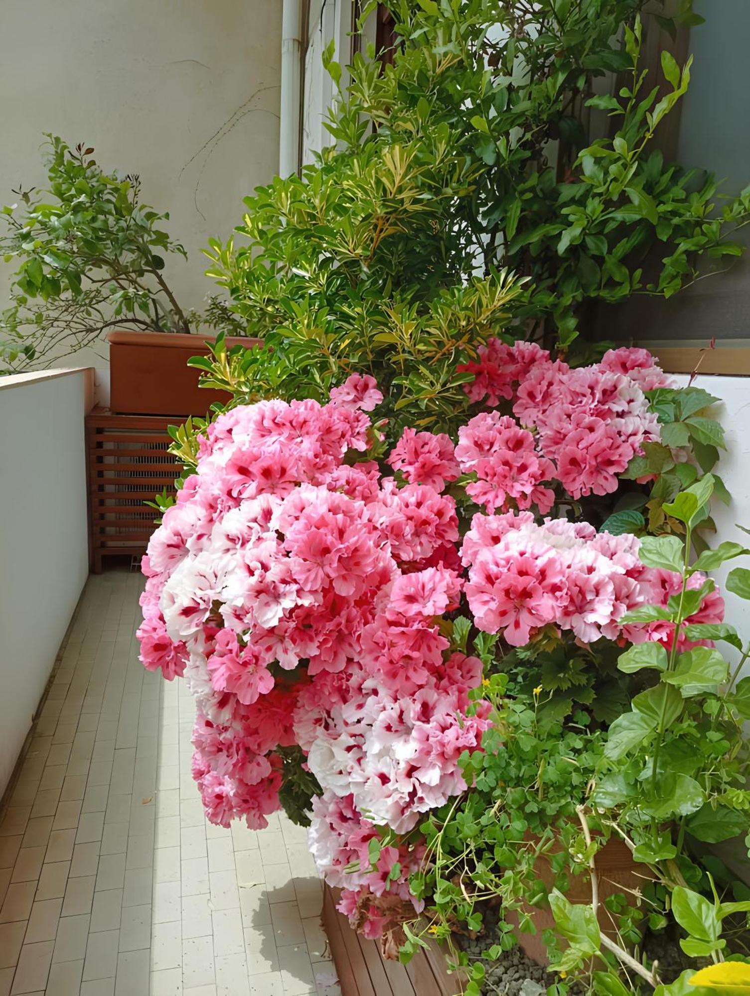 La Casa Dei Fiori Florença Exterior foto